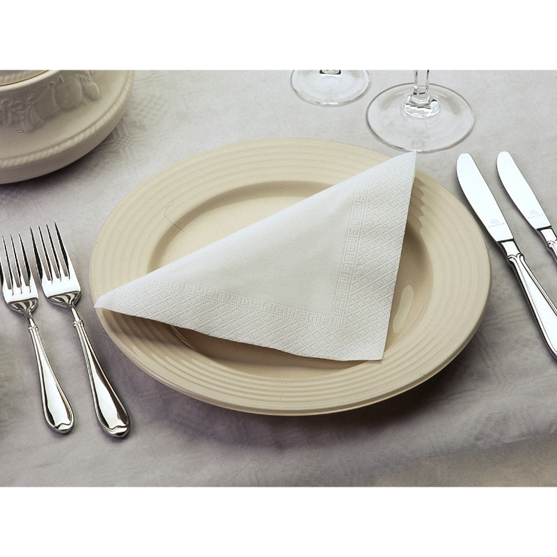 Dinner Napkin 39cm x 39cm, White 2 ply Janitorial Express