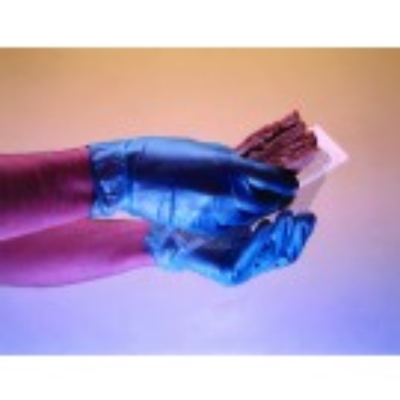 Large Blue Powder Free Vinyl Gloves