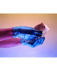 Blue Medium Powder Free Vinyl Gloves
