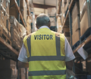 5-distributor-300x261.png (125 KB)