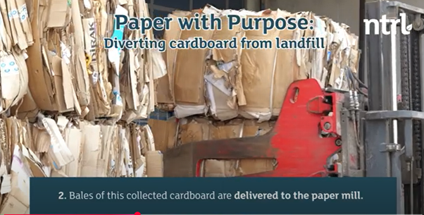 Cardboard.png (483 KB)